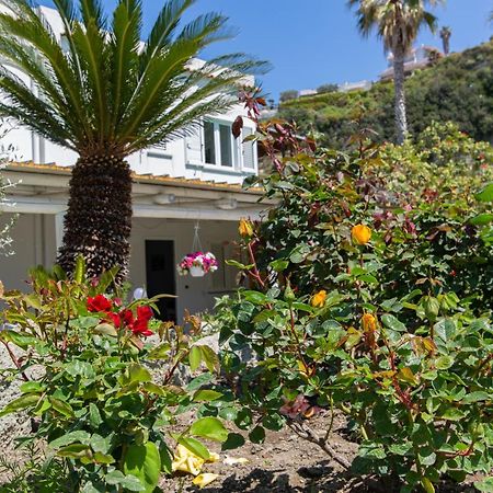 Villa Al Mare - Famiglia Calise Forio di Ischia Exterior foto