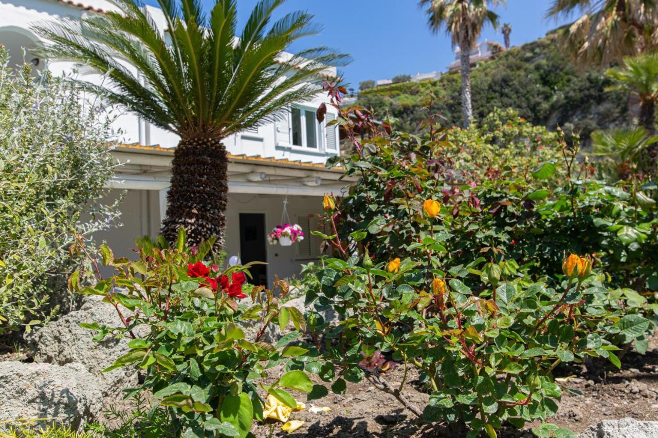 Villa Al Mare - Famiglia Calise Forio di Ischia Exterior foto