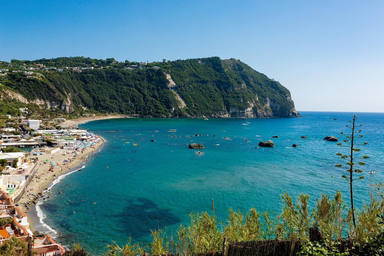 Villa Al Mare - Famiglia Calise Forio di Ischia Exterior foto